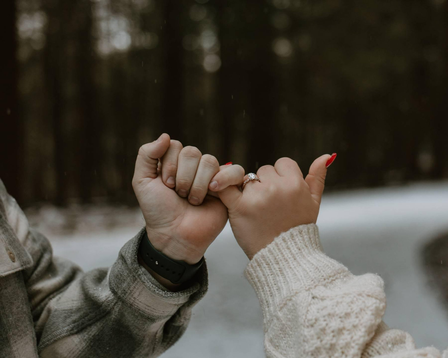 The Wedding Website of Nicole Lore and Jason Merkel
