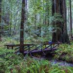 Brown's Creek State Trail