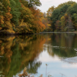 A Hike at Rockefeller State Park Preserve