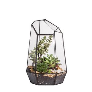 NCYP - 9.8inches Height Indoor Tabletop Irregular Glass Geometric Air Plants Terrarium Box Desktop Display Planter Succulent Holder Flower Pot for Fern Moss Diy