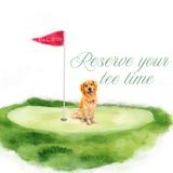 Big Cedar Golf Courses