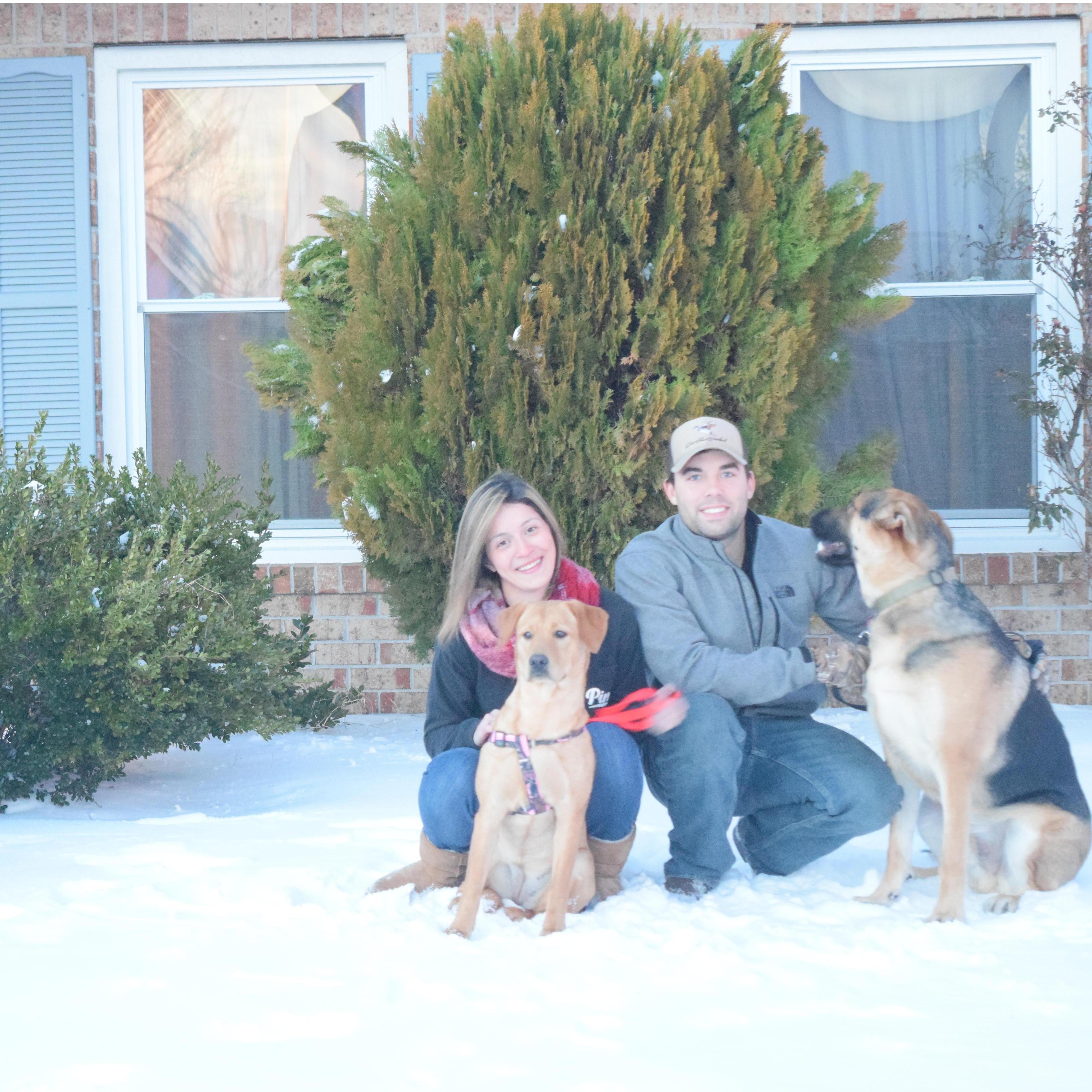 Christmas 2017.. Best Picture we could get with our pups!