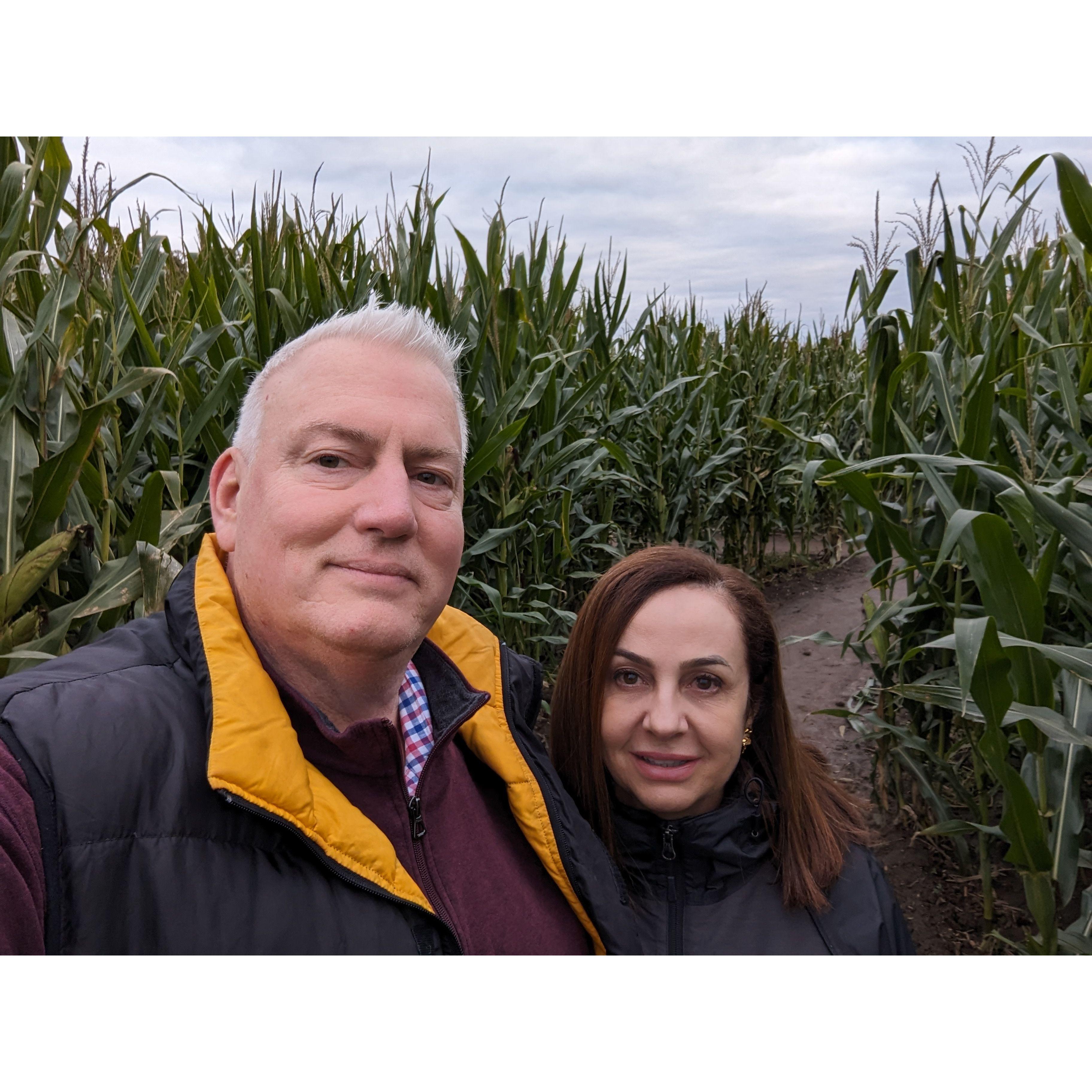 Corn Maze in Verona Wisconsin