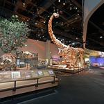 Perot Museum of Nature and Science