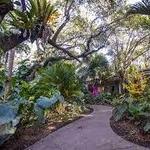 Fairchild Tropical Botanic Garden