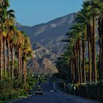 Palm Desert