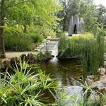 McConnell Arboretum & Botanical Gardens