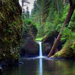 Hiking in the Gorge