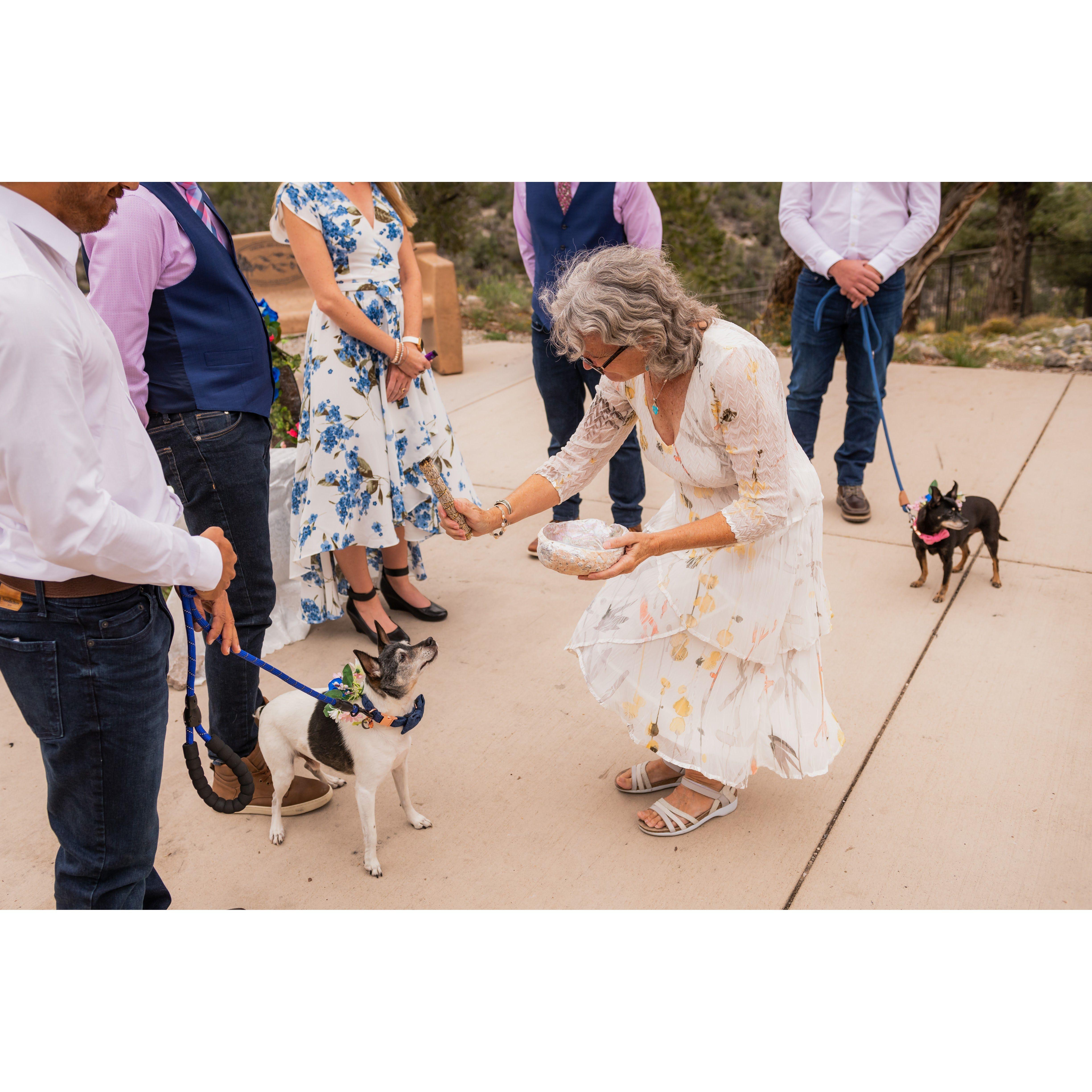 Champ getting smudged. He was probably hoping for a treat.