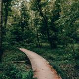 Cherokee Park