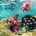 John Pennekamp Coral Reef State Park