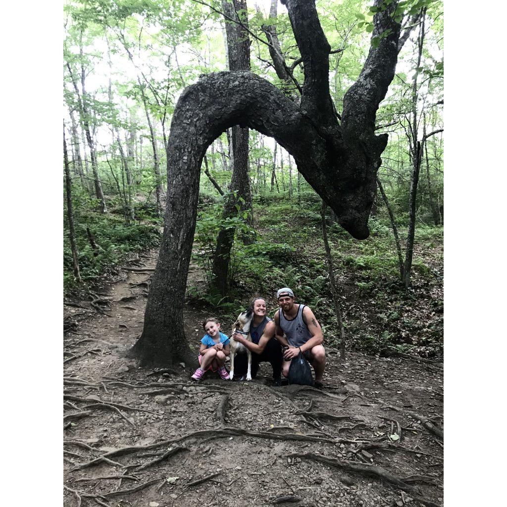 Skinny Dip Falls with the whole family