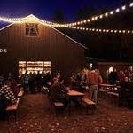 Wayside Cider