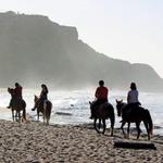 Tropical Trail Rides
