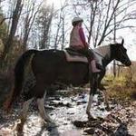 Cedar Creek Stables