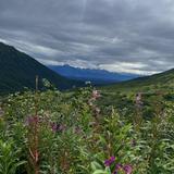 Hatcher Pass