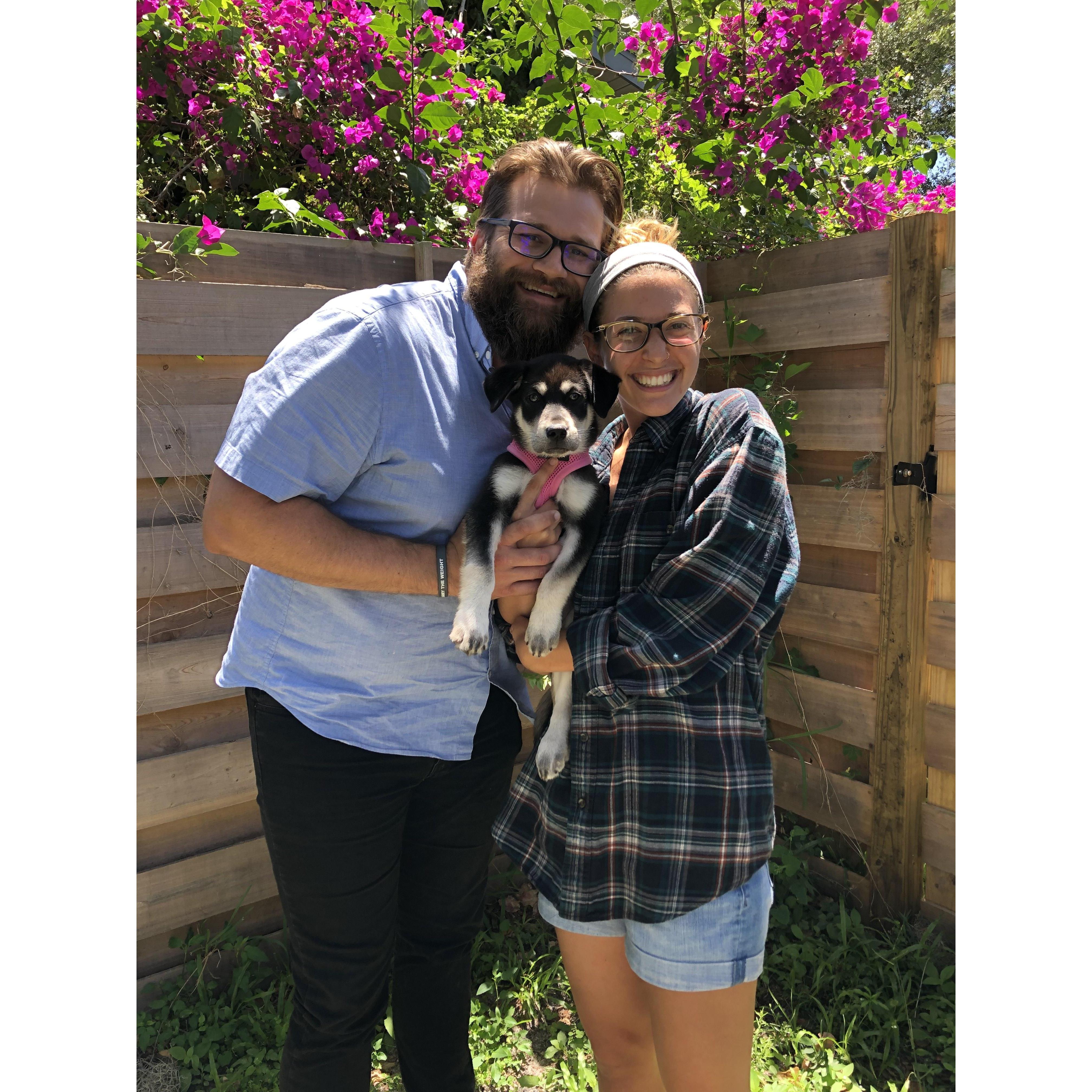 Becoming puppy parents! We named her Sasha :)