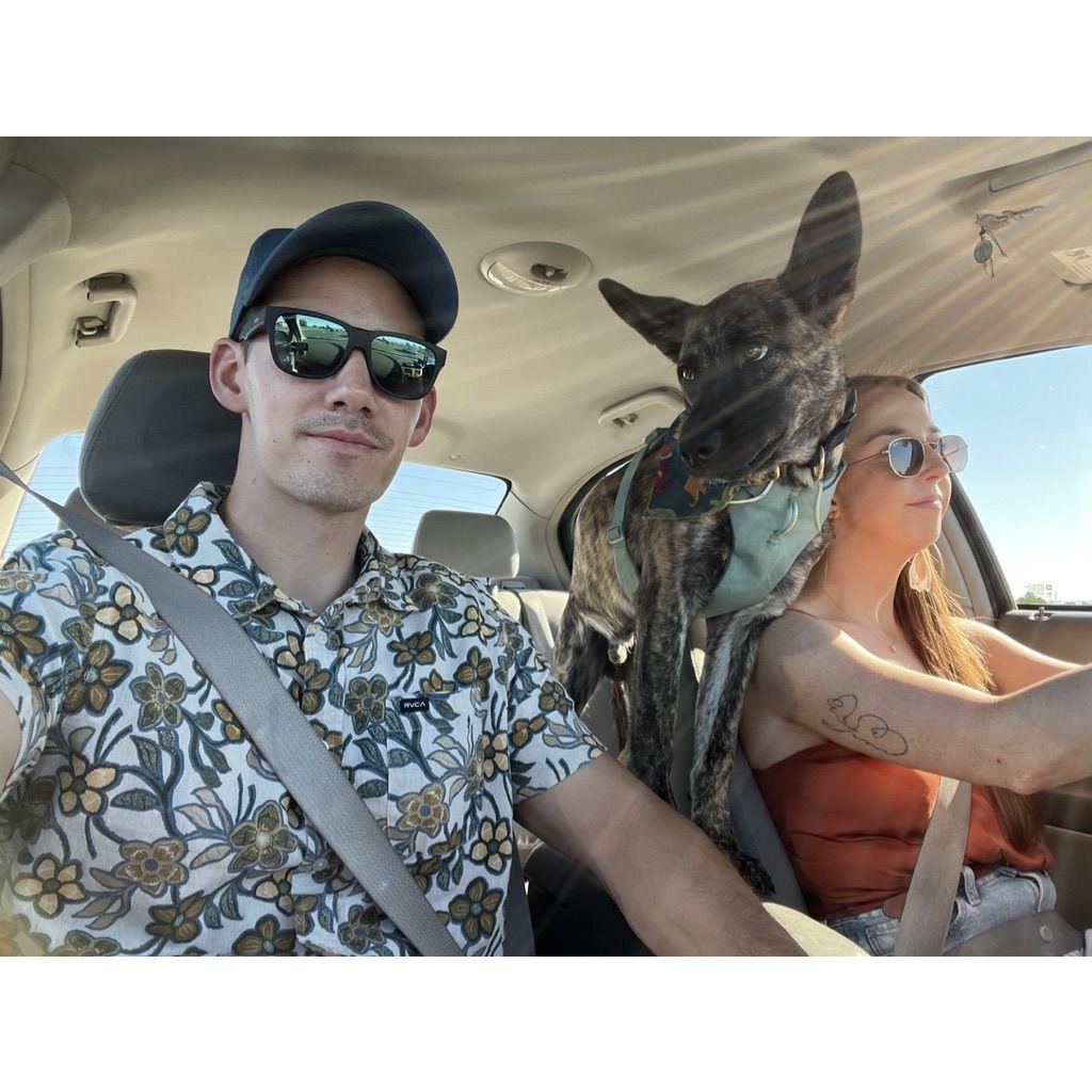 Family roadtrips with our favorite backseat driver