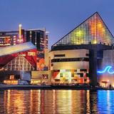 Visit the Baltimore Aquarium