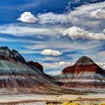Petrified Forest National Park