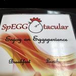 Speggtacular Clearwater Beach