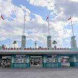 Disney's Hollywood Studios