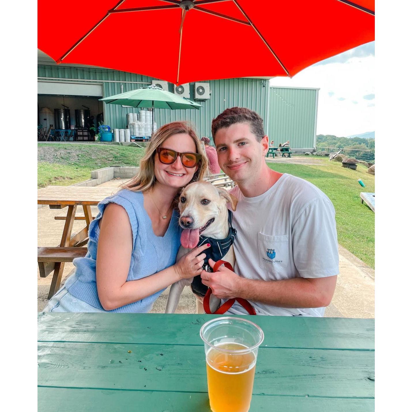 Apple picking in upstate New York with our fur baby,  Bob Dylan!