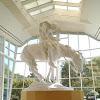 National Cowboy & Western Heritage Museum