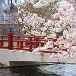 Big Spring Park Walking Trail