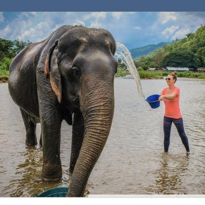 Elephant Sanctuary in Chiang Mai