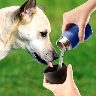 9.5 Oz. Dog Water Bottle