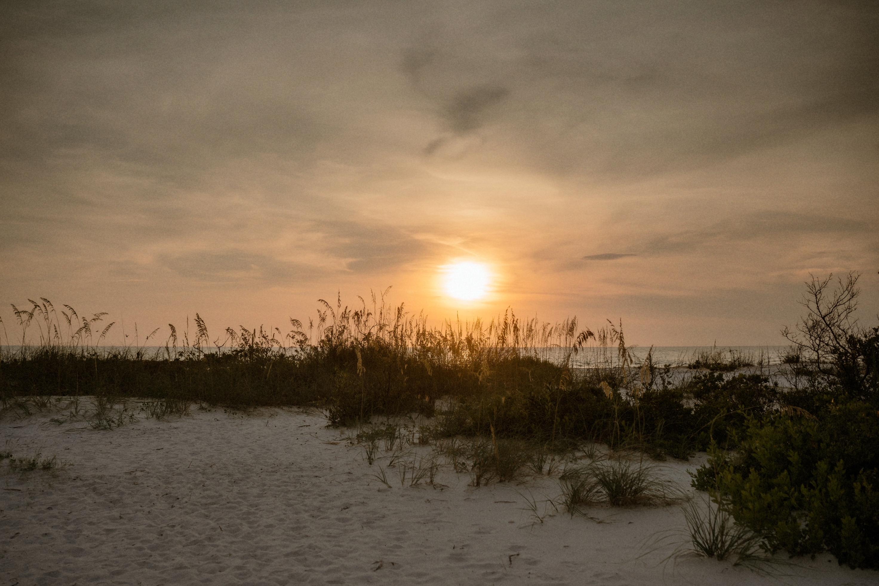 The Wedding Website of Emily Long and Nick Boyd