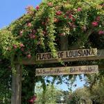 LSU AgCenter Botanic Gardens