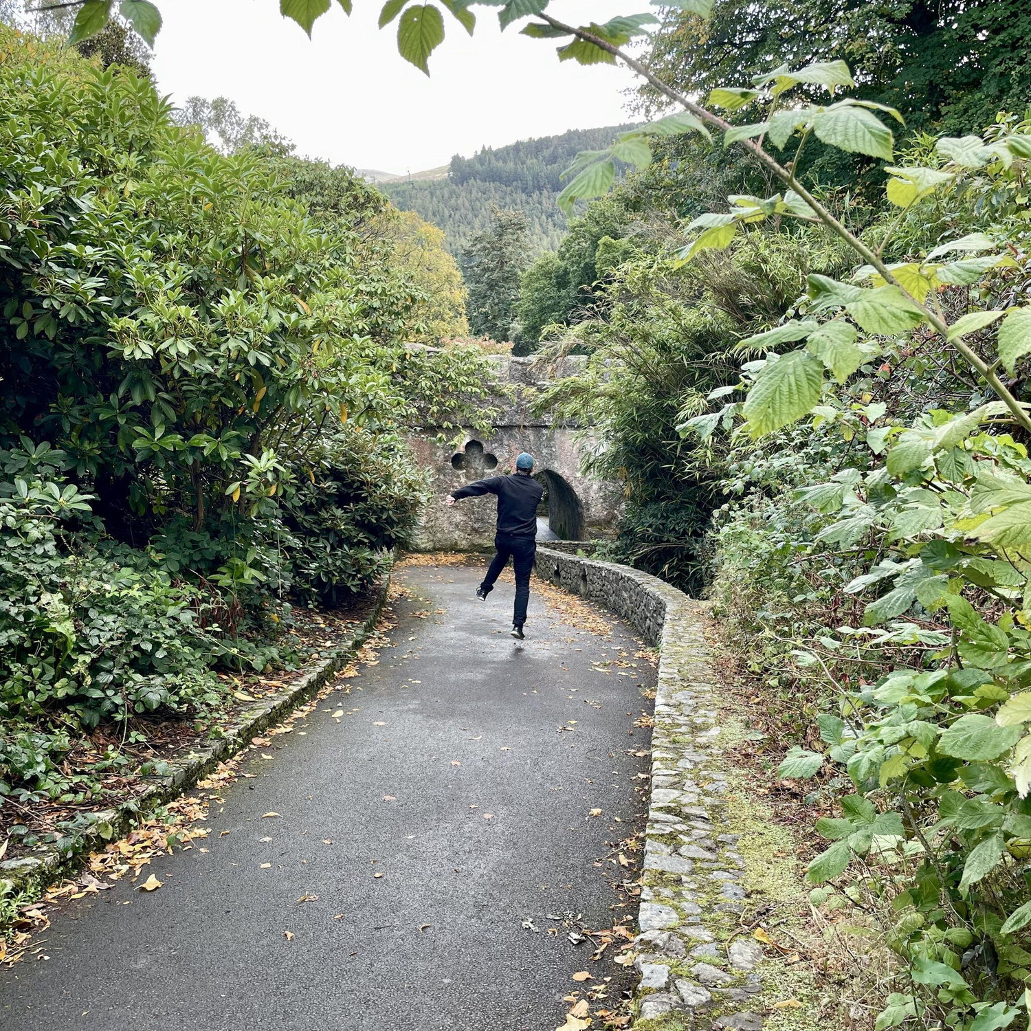 We skipped through Ireland!