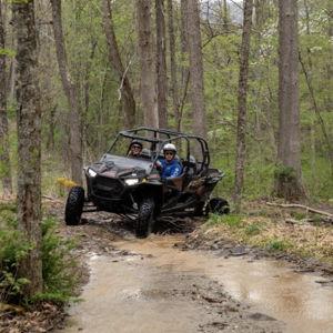 ATV On Our Honeymoon