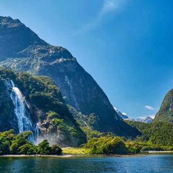 Fiordland Kayak Tour