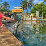 Robbie's