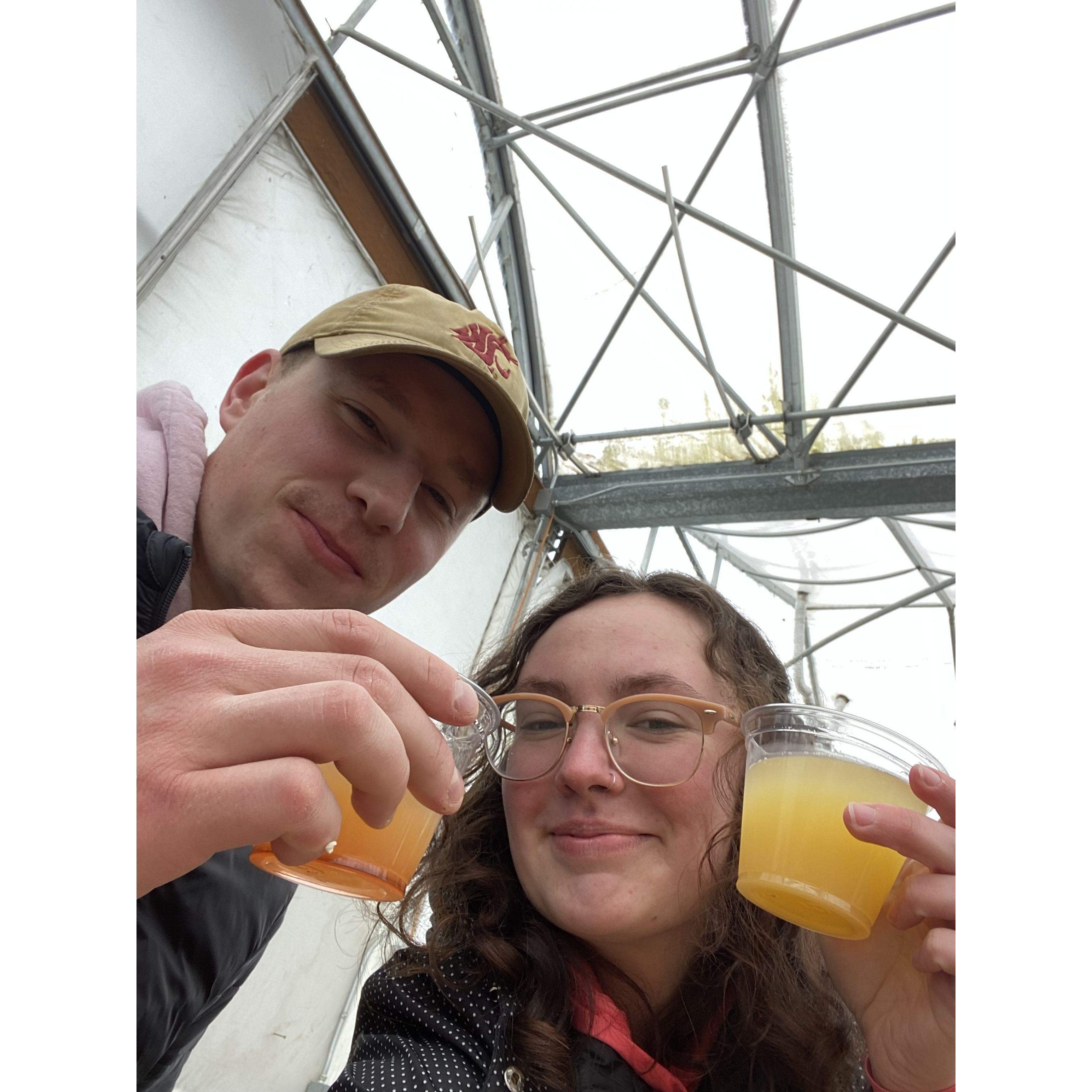 Tulip Town in Mount Vernon