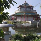 Pagoda & Oriental Garden