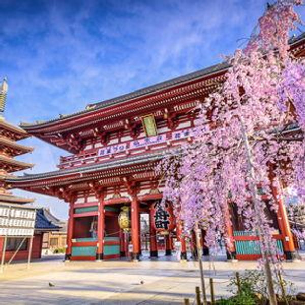 Japan Honeymoon Fund