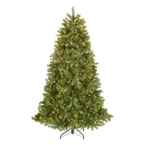 National Tree Company 6.5-ft Douglas fir Pre-lit Artificial Christmas Tree with Clear Incandescent Lights