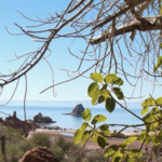 Isla del Espiritu Santo