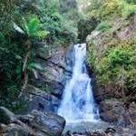 El Yunque National Forest