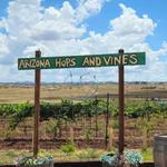 Arizona Hops and Vines