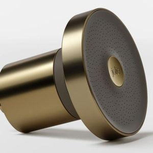 The Jolie Filtered Showerhead - Brushed Gold