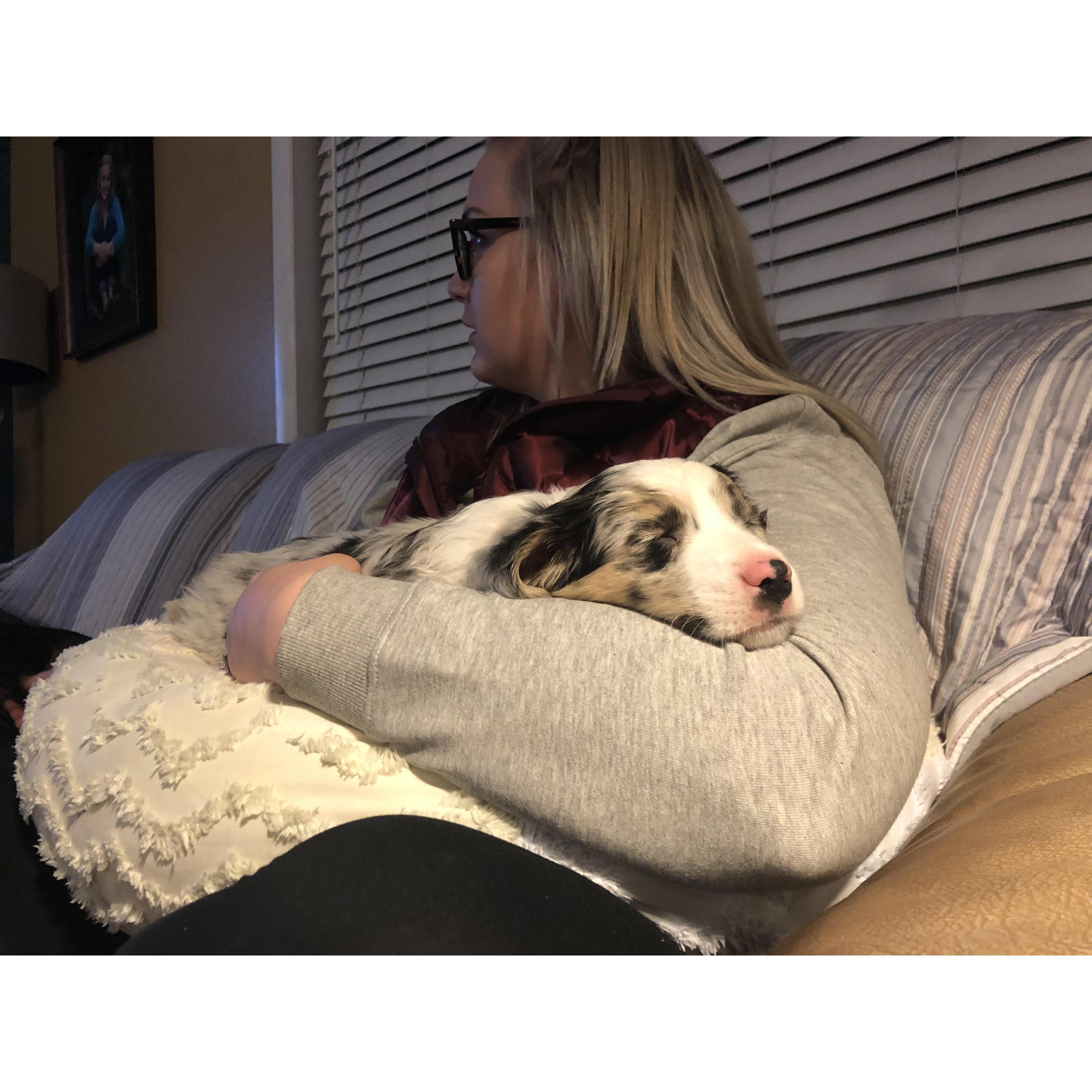 First night with Cooper January 2018 Cody, WY