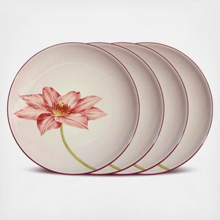 Colorwave Accent Plate, Set of 4