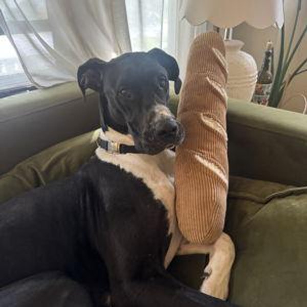 Dutch's Toy Fund
