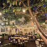 Wine Garden