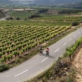 Bike Ride or Hike Through the Vineyards